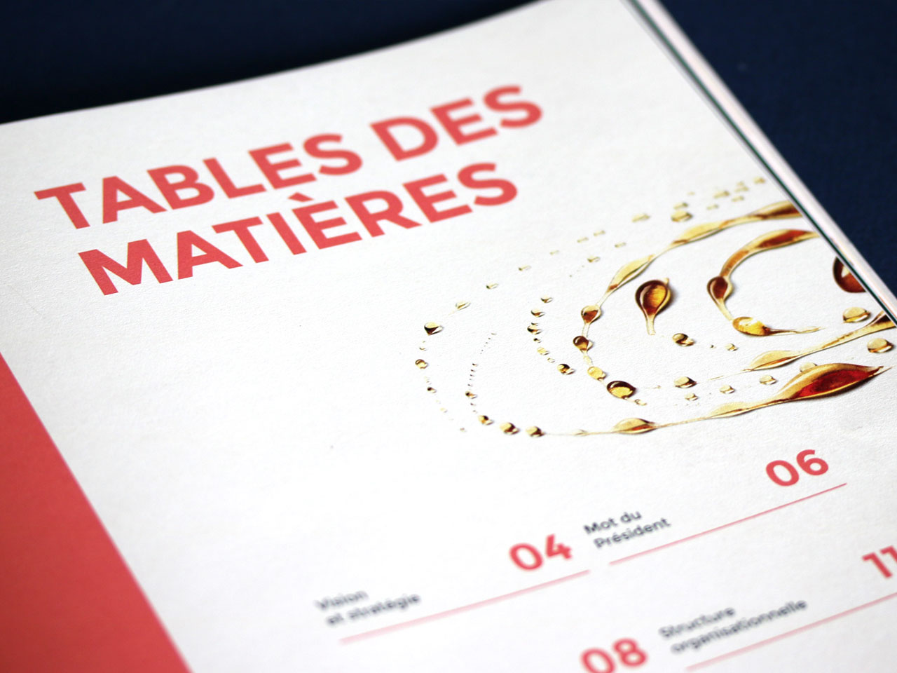 FPAQ-RapportsAnnuels_02